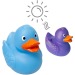 Canard Magique - MBW, canard Werbung