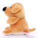 Peluche chien - MBW Geschäftsgeschenk