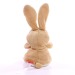 Peluche lapin - MBW, lapin Werbung