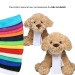 Peluche chien M Geschäftsgeschenk