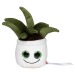 Peluche aloe vera Geschäftsgeschenk