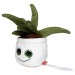 Peluche aloe vera Geschäftsgeschenk