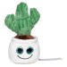 Peluche cactus Geschäftsgeschenk