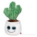 Peluche cactus Geschäftsgeschenk