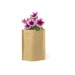 Pot de fleurs - Pétunia, Sachet de graine Werbung