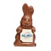Lapin de Pâques en chocolat 80g, lapin en chocolat Werbung