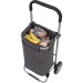 Miniaturansicht des Produkts Luxuriöse Trolley-Tasche 1