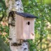 Rustikaler Nistkasten, Haus und Nistkasten für Vögel Werbung