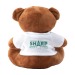 Billy Bear ours taille standard, peluche Werbung