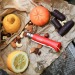 OPINEL