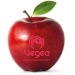 Miniaturansicht des Produkts Roter Apfel 1