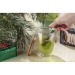 Tee-Infusionsgerät CEYLON, Teeaufgussgerät Werbung