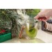 Tee-Infusionsgerät CEYLON, Teeaufgussgerät Werbung