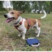 Das RINGO Hunde-Frisbee, Frisbee für Hunde Werbung