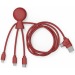 Mr Bio Long - Câble d'1M avec une double entrée type C/USB Geschäftsgeschenk