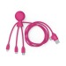 Mr Bio Long - Câble d'1M avec une double entrée type C/USB Geschäftsgeschenk