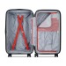 SHADOW 5.0 - Trunk-Koffer 74,5 cm, Delsey Trolley Werbung