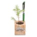 Pot cube boisde bureau en boite star-box - Bulbes de trèfle à 4 feuilles Geschäftsgeschenk