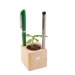 Pot cube bois de bureau - Bulbes de trèfle à 4 feuilles Geschäftsgeschenk