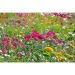 Mini-tonneau en bois - Mélange de fleurs d'été, tonneau Werbung