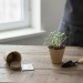 Kit de culture - Bulbes de trèfle à 4 feuilles, trèfle à 4 feuilles Werbung