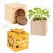 Pot cube bois mini avec bulbes de trèfle à 4 feuilles en boite Star-Box - sans gravure laser Geschäftsgeschenk