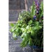 Mini-tonneau en bois - Mélange d'herbes aromatiques, tonneau Werbung
