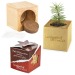Pot cube bois mini avec graines d'épicéa en boite Star-Box - Epicéa Geschäftsgeschenk