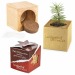 Pot cube bois mini avec graines d'épicéa en boite Star-Box - Epicéa Geschäftsgeschenk