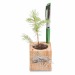 Pot cube boisde bureau en boite star-box - Epicéa Geschäftsgeschenk