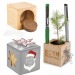 Pot cube boisde bureau en boite star-box - Epicéa, sapin de Noël Werbung