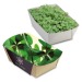 Jardinière en papier bambou - Bulbes de trèfle à 4 feuilles Geschäftsgeschenk