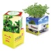 Cube à planter 2.0 - Bulbes de trèfle à 4 feuilles Geschäftsgeschenk