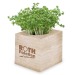 Cube à planter 2.0 - Bulbes de trèfle à 4 feuilles, trèfle à 4 feuilles Werbung