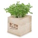 Cube à planter 2.0 - Bulbes de trèfle à 4 feuilles, trèfle à 4 feuilles Werbung