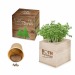 Cube à planter 2.0 - Bulbes de trèfle à 4 feuilles, trèfle à 4 feuilles Werbung