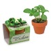 Mini pot terre cuite en fourreau fleur - Bulbes de trèfle à 4 feuilles Geschäftsgeschenk