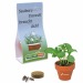 Mini pot terre cuite sous pochette - Bulbes de trèfle à 4 feuilles, trèfle à 4 feuilles Werbung