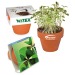 Mini pot terre cuite, fourreau chapeau - Bulbes de trèfle à 4 feuilles Geschäftsgeschenk