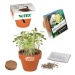 Mini pot terre cuite, fourreau chapeau - Bulbes de trèfle à 4 feuilles, trèfle à 4 feuilles Werbung