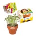 Mini pot terre cuite, fourreau complet- Bulbes de trèfle à 4 feuilles, trèfle à 4 feuilles Werbung