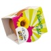 Mini pot terre cuite, fourreau complet- Bulbes de trèfle à 4 feuilles Geschäftsgeschenk