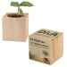 Pot cube - Bulbes de trèfle à 4 feuilles Geschäftsgeschenk