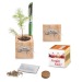 Pot cube bois de bureau de Noël - Epicéa - Epicéa Geschäftsgeschenk