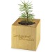 Pot cube bois Maxi de Noël - Epicéa - Epicéa Geschäftsgeschenk