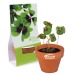 Mini pot en terre cuite sous pochette - Four-leaf clover Geschäftsgeschenk