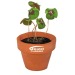 Mini pot en terre cuite sous pochette - Four-leaf clover Geschäftsgeschenk