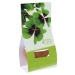 Mini pot en terre cuite sous pochette - Four-leaf clover, trèfle à 4 feuilles Werbung