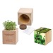 Plante-bois Grande avec graines - Bulbes de trèfle à 4 feuilles Geschäftsgeschenk