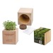 Plante-bois Grande avec graines - Bulbes de trèfle à 4 feuilles Geschäftsgeschenk